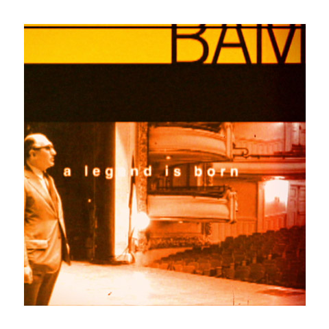 bam_rev2_480x480-1 BAM & Harvey Lichtenstein Retrospective open