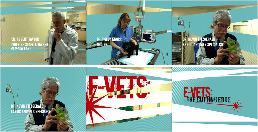 evets480x480_C2P E-Vets: The Cutting Edge title sequence